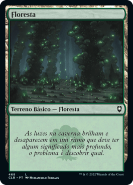 Floresta - TERRENO BÁSICO